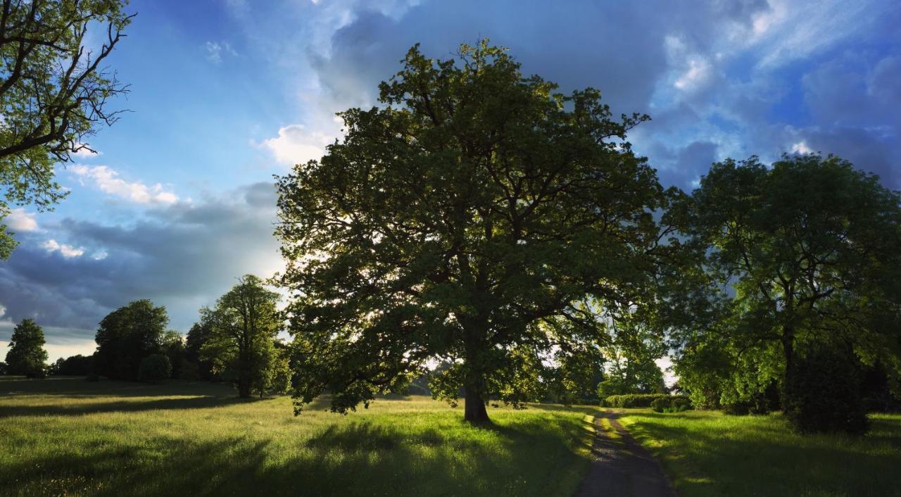 ErnéeLa Tiny Du Parc : Saint Symphorien Des Monts别墅 外观 照片